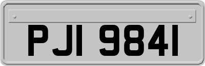PJI9841
