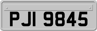 PJI9845