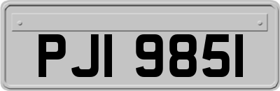 PJI9851