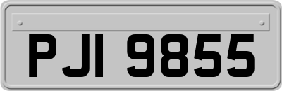 PJI9855