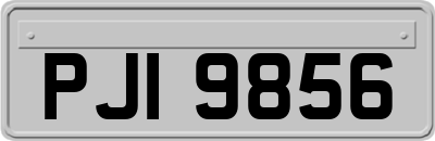 PJI9856