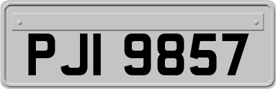 PJI9857