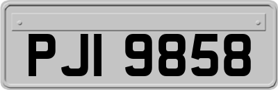PJI9858