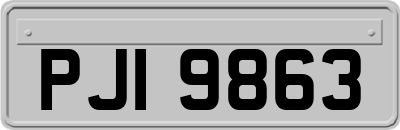 PJI9863