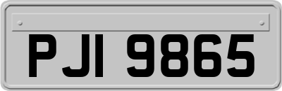 PJI9865