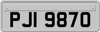 PJI9870