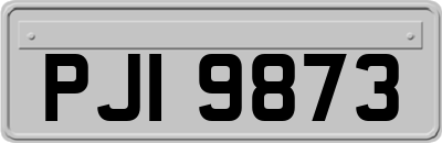 PJI9873