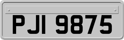 PJI9875