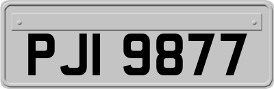 PJI9877