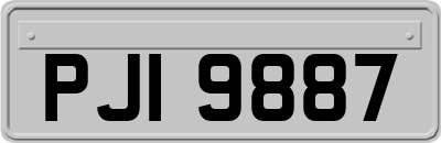 PJI9887