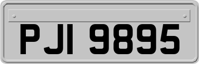 PJI9895