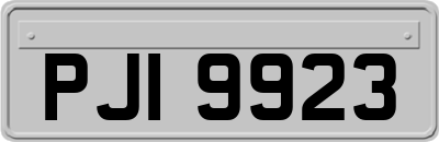 PJI9923