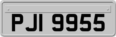 PJI9955