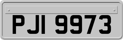 PJI9973