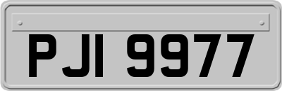 PJI9977