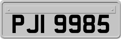 PJI9985