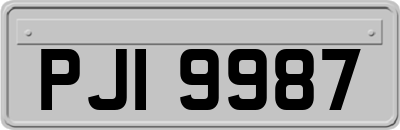 PJI9987