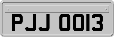 PJJ0013