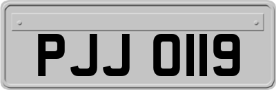 PJJ0119