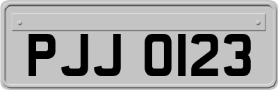 PJJ0123