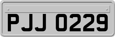 PJJ0229
