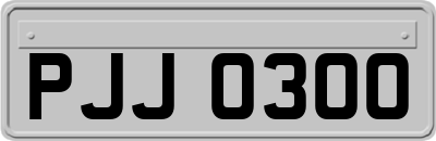 PJJ0300