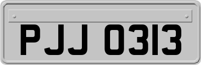 PJJ0313
