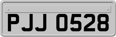 PJJ0528