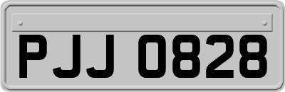 PJJ0828