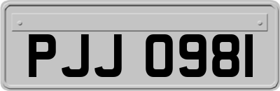 PJJ0981