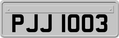 PJJ1003