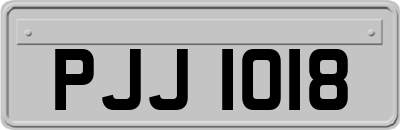 PJJ1018