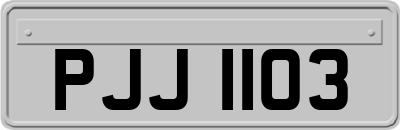 PJJ1103