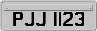 PJJ1123