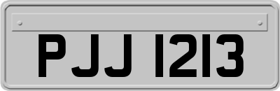 PJJ1213