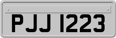 PJJ1223