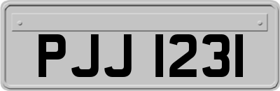 PJJ1231