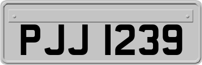 PJJ1239