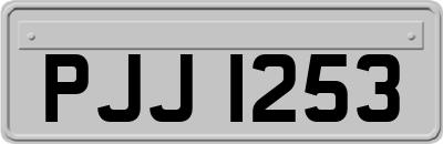 PJJ1253