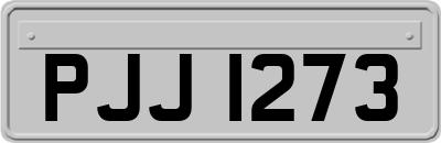 PJJ1273