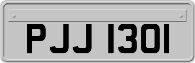 PJJ1301