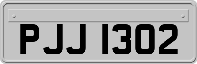 PJJ1302