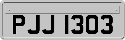 PJJ1303