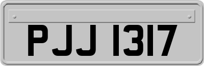 PJJ1317