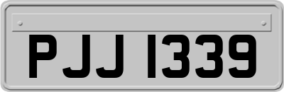 PJJ1339