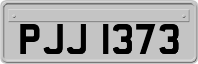 PJJ1373