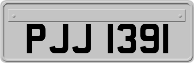 PJJ1391