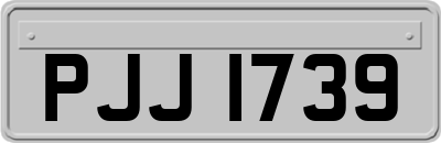 PJJ1739