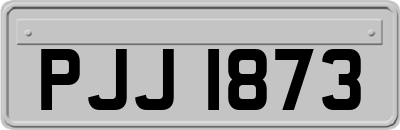 PJJ1873