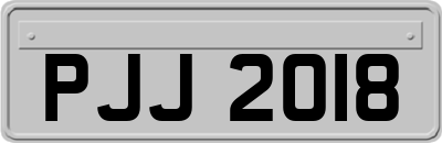 PJJ2018